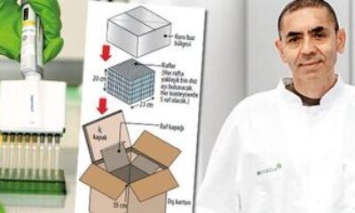 Aşıyı bulan Türk profesör ne zaman normale döneceğimizi açıkladı!.