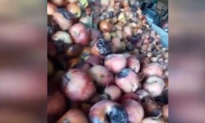 Tarım ve Orman Bakanlığı’ndan çürük elma videosuna inceleme..