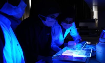 BioNTech ve Moderna’ya rakip! Türkiye’nin ilk ‘m RNA’ aşısında yeni aşama…