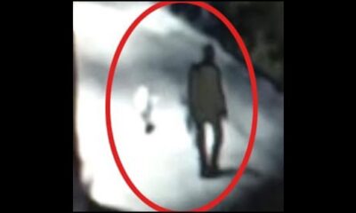 Sokak köpeğini pompalıyla katleden doktora verilen ceza pes dedirtti!.