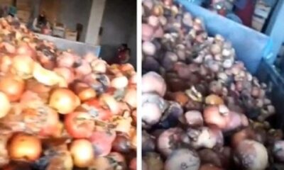“Süt Banyosu” rezaletinden sonra şimdi de elma suyu skandalı patlak verdi!. İzlerken mideniz bulanacak!.