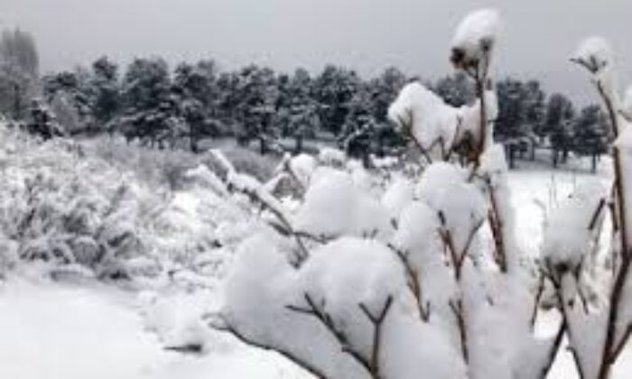 Türkiye’ye yılın ilk karı yağdı..