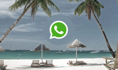 Whatsapp’a tatil modu özelliği geliyor!.