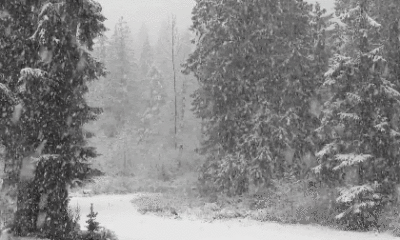 Meteoroloji uyardı! Yoğun kar yağışı geliyor!.
