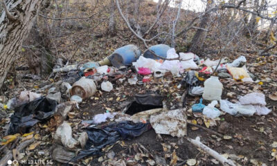 Bingöl’de 6 depo ve 7 sığınakta 135 kg esrar ele geçirildi!.