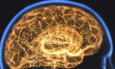 Alzheimer ve parkinson hastalarını heyecanlandıran buluş! Yaşa bağlı unutkanlık tarih mi oluyor?.