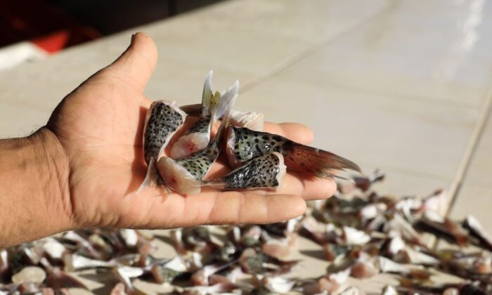 Uygulama bu sabah başladı.. Devlet kuyruk başına 5 TL ödeyecek!.