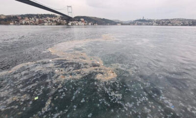 Daha iki yıl bile olmadan İstanbul pisliğe teslim oldu!. Her Şey *ok güzel olacak!.