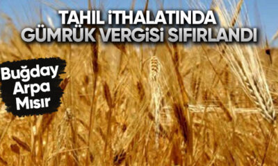 Buğday, arpa ve mısırda gümrük vergisi sıfırlandı..