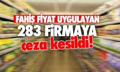 Fahiş fiyat uygulayan 283 firmaya ceza…
