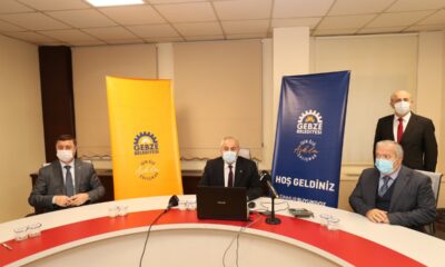 Ekrem’in İBB’si kuduz sokak köpeklerini toplayıp AK Partili belediyelerin mıntıkalarına terk ediyor!.