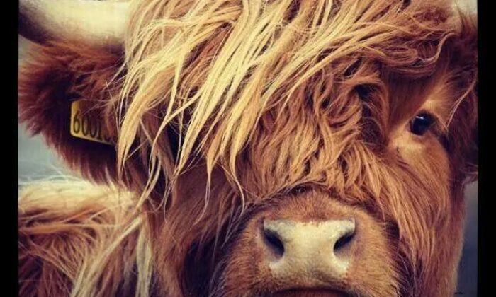 Özlem Gürses’e haber verin!. Çin Treni 8 bin 693 KM’lik kesintisiz yolculuğunu tamamladı..