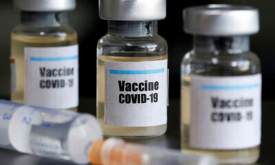 Tütün bazlı coronavirüs aşısı için izin verildi!.