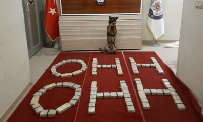 Van’da PKK’ya narkotik operasyonu! Polisler uyuşturucu paketleriyle “Ohh Ohh” yazıp, Soylu’ya destek verdi!. (video haber)
