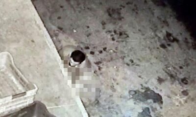 Sakarya’da köpeğe cinsel saldırıda bulunan sapık kameralara yakalandı!. (video haber)