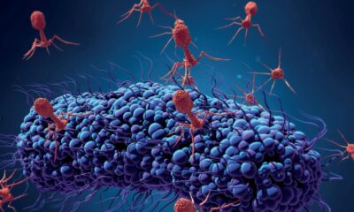 Mutasyonlu virüsü taşıyan hastaların bulunduğu iller..