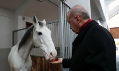 Cumhurbaşkanı Erdoğan Geleneksel Sporlar Tesisi açılışına katıldı!.