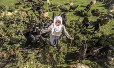 Türkiye’den ve dünyadan haftanın fotoğrafları..