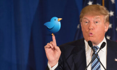 Twitter Trump kararı sonrası yüzde 12 eridi!.