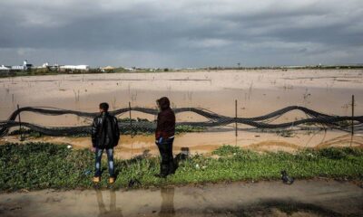 Terörist İsrail, Gazze’nin tarım arazilerinde 1,5 milyon dolarlık zarara yol açtı!.
