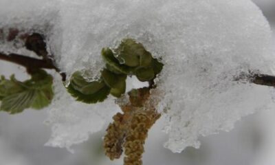 Meteoroloji’den 4 il için flaş uyarı..