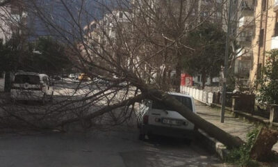 İzmir’de fırtına dehşeti! Ortalık savaş alanına döndü!.