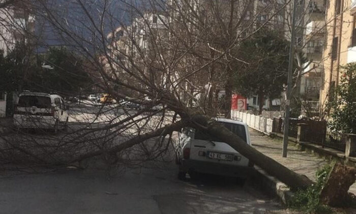 İzmir’de fırtına dehşeti! Ortalık savaş alanına döndü!.