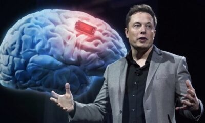 Elon Musk’tan çip açıklaması! “Maymunlarda denedik başarılı oldu!.”