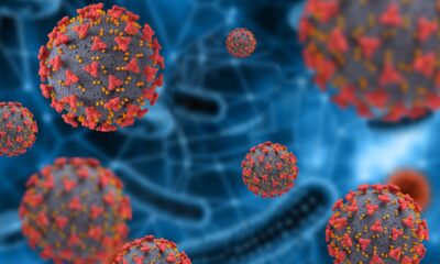 10 Şubat coronavirüs verileri!. Pandemiyle mücadelede son durum..