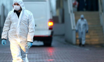 Dünya cevap bekliyor! DSÖ sözcüsü 4 ihtimal var diyerek açıkladı!.