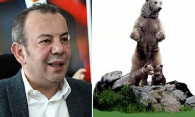 CHP’li Bolu Belediyesi 10 metrelik ayı heykeli yapacak!.