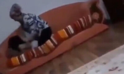 Kocaeli’de anne dehşeti! Çocuğuna şiddet uygulayıp nefessiz bıraktı!.