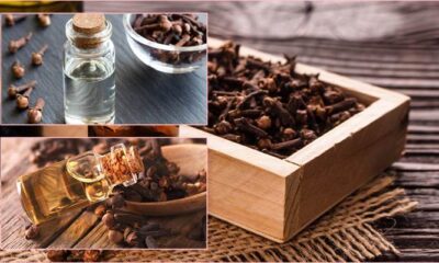 Sadece 3 damla yetiyor! Karanfil yağı ile gelen şifa..
