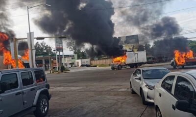 Meksika’da kartel savaşları! 11 ölü, 2 yaralı..