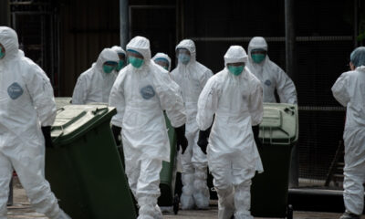 Rusya’da kuş gribinin insana bulaşan türü görüldü!.