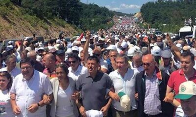 Kaz Dağları şovmeni CHP’li Muharrem Erkek, “Ekoturizm” bahanesiyle ağaç katliamı yapacak!. (video haber)