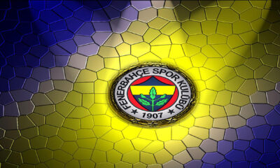 Fenerbahçe 9 şampiyonluk için TFF’ye başvurdu!.