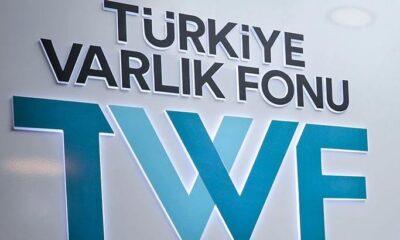 Varlık Fonu Genel Müdürlüğü’ne Selim Arda Ermut atandı!.