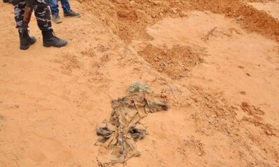 Terhune’de bir toplu mezar daha bulundu!.