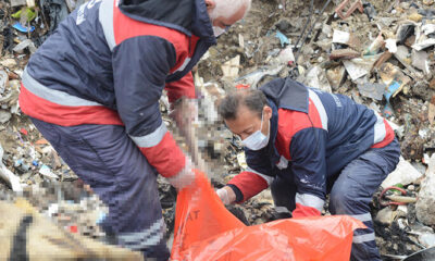 Ankara’da vahşet! Çöplükte biri yanmış 2 köpek ölüsü bulundu!.