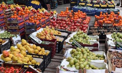 Türkiye 2020’de Ukrayna’ya en fazla meyve ihraç eden ülke oldu!.