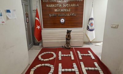 Terörist sevici T24, uyuşturucuya geçit vermeyen Emniyet Müdürü’nü hedef aldı!.