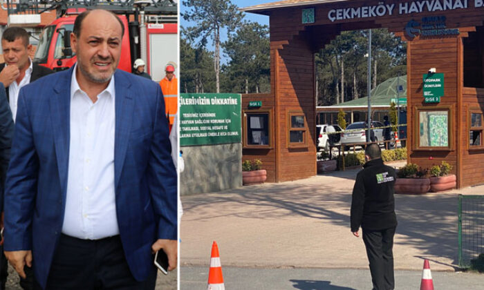 Ünlülerin hocası Salih Memişoğlu’nun katil zanlısı yakalandı!.