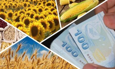 Tarımsal destek ödemeleri bugün başlıyor!.