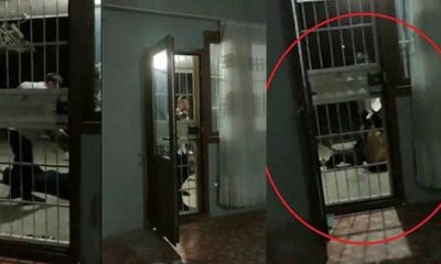 Sosyal medyayı ayağa kaldıran olay! “Her şeyi göze aldım!.” (video haber)