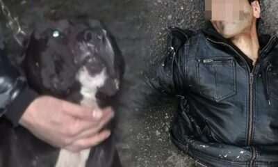 Kadına tecavüz girişiminde bulunan adamı “Carlos” yakaladı!.