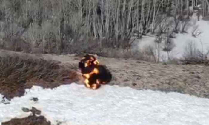 Tunceli’de teröristlere ait 17 sığınak yok edildi!.