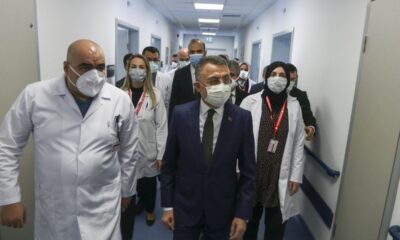 17 yerli aşı çalışmasından 3’ünün insan uygulamalarına başlandı!.