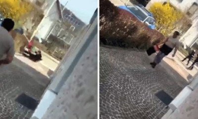 Metin Külünk paylaştı! Alman polisi 66 yaşında ki alzheimer hastası Türk’ü böyle vurdu!. (video haber)