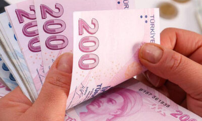e-Devlet 1100 TL yardım başvurusu sonucu sorgulama ekranı! Yardım başvurusu nasıl yapılır?.